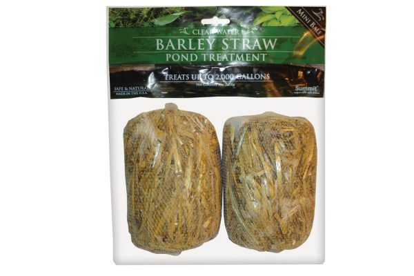 Barley Straw Treatment for Koi Ponds