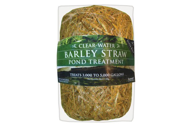 Barley Straw Treatment for Koi Ponds