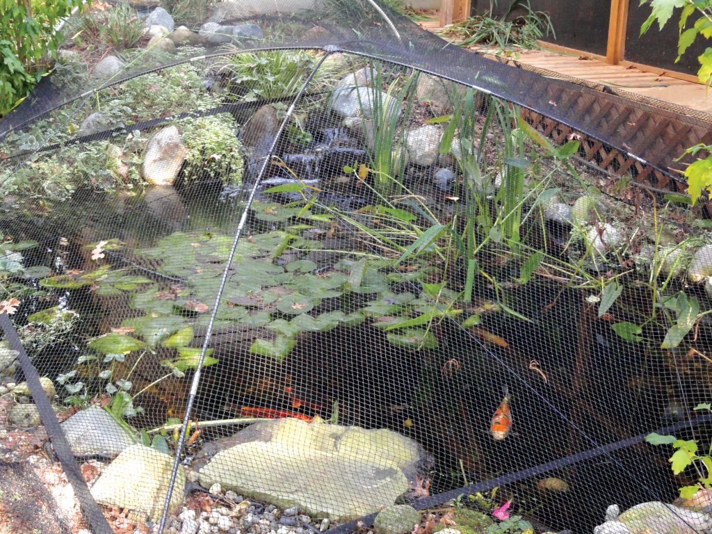 Pond Netting with Frame is a functional Pond Net