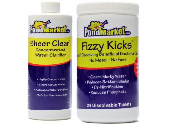 Kit I - Large, Lg Fizzy & 32oz Sheer Clear-4039